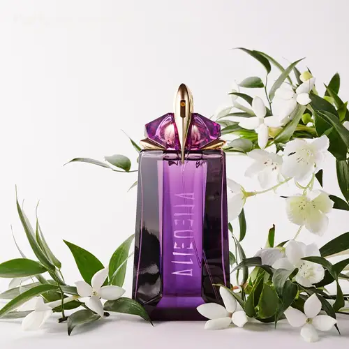 الین بنفش زنانه، عطر با رایحه گل یاس
